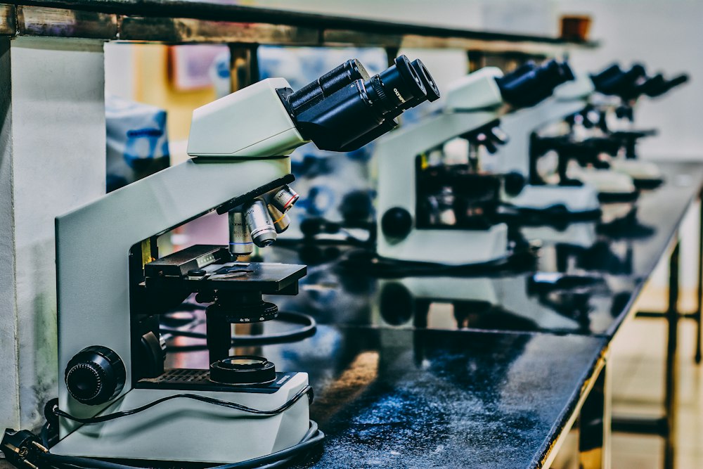 Scientist at work in laboratory